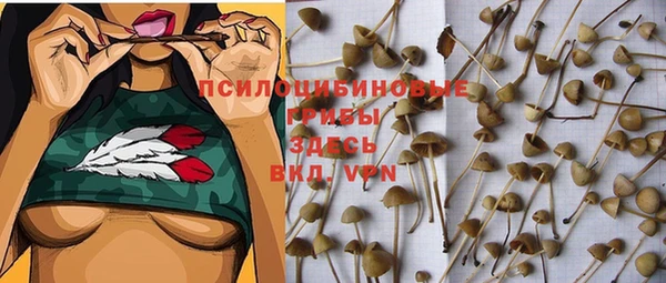 прущая мука Белоозёрский