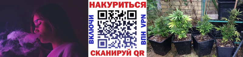 Каннабис индика  даркнет сайт  Кохма 